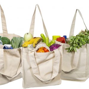 Best Canvas Grocery Shopping Bags