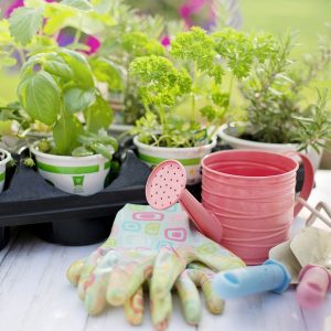 planting, spring, herbs