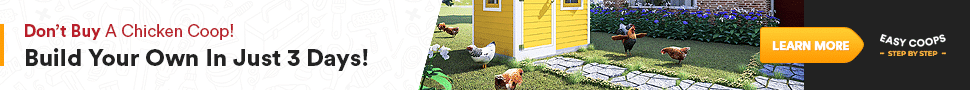 chicken coop