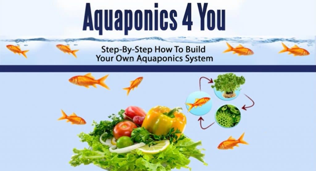 aquaponics4you