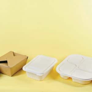 biodegradable packing
